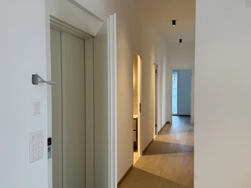 Dernier appartement disponible  avec magnifique vue sur lac et les Alpes (7)