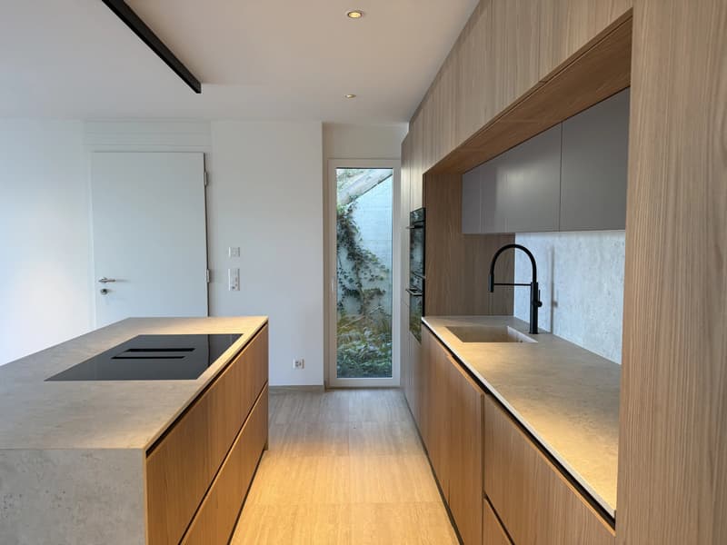 Dernier appartement disponible  avec magnifique vue sur lac et les Alpes (6)
