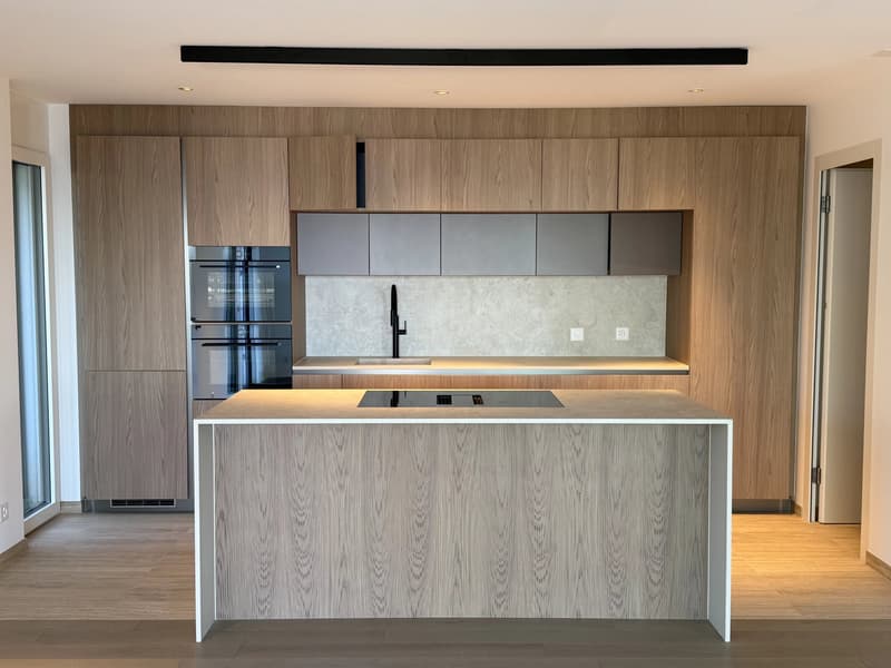 Dernier appartement disponible  avec magnifique vue sur lac et les Alpes (5)