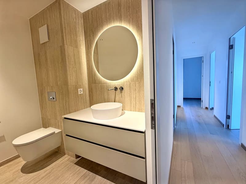 Dernier appartement disponible  avec magnifique vue sur lac et les Alpes (10)
