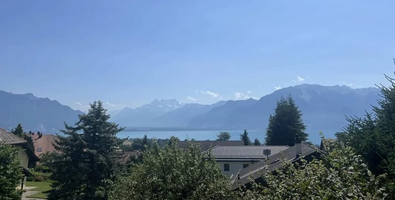 Maison individuelle entièrement rénovée, échappée sur le lac (2)