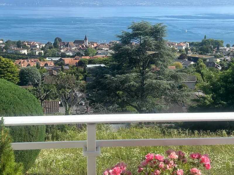 Appartement d'exception avec vue panoramique à Lutry (6)