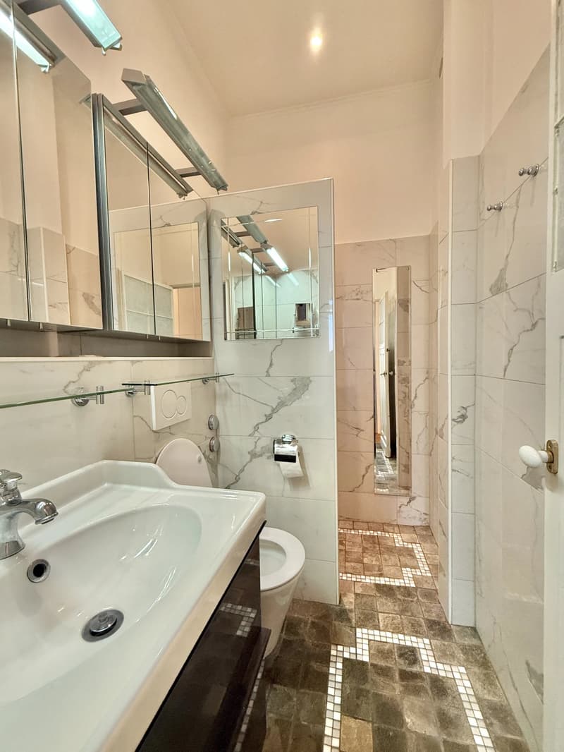 Appartement de charme à Montreux avec vue imprenable (11)