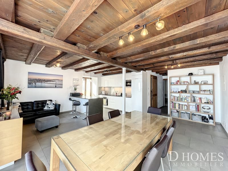 Ampia casa di villaggio completamente ristrutturata (3)