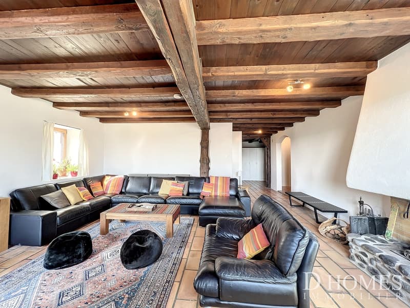 Ampia casa di villaggio completamente ristrutturata (4)