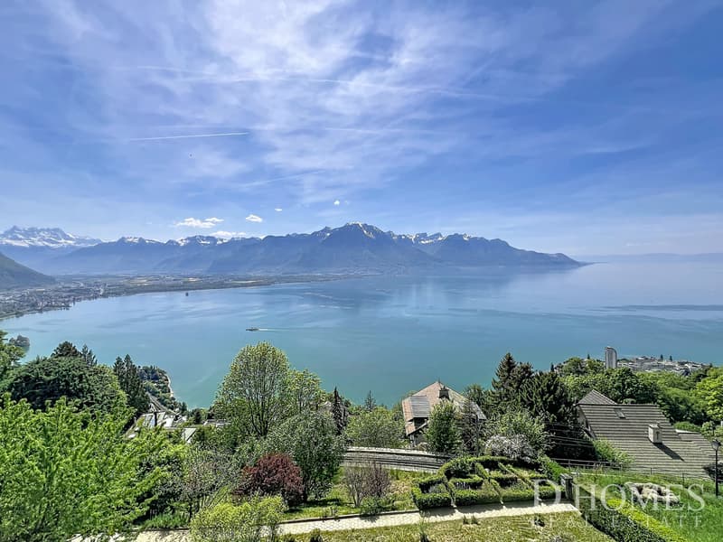 Exceptional property - Panoramic view of the lake and mountains (2)