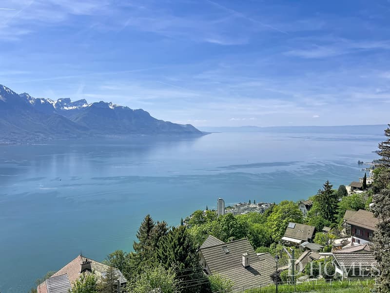 Exceptional property - Panoramic view of the lake and mountains (11)