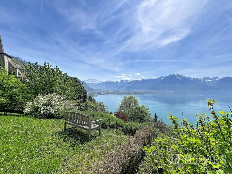 Exceptional property - Panoramic view of the lake and mountains (2)
