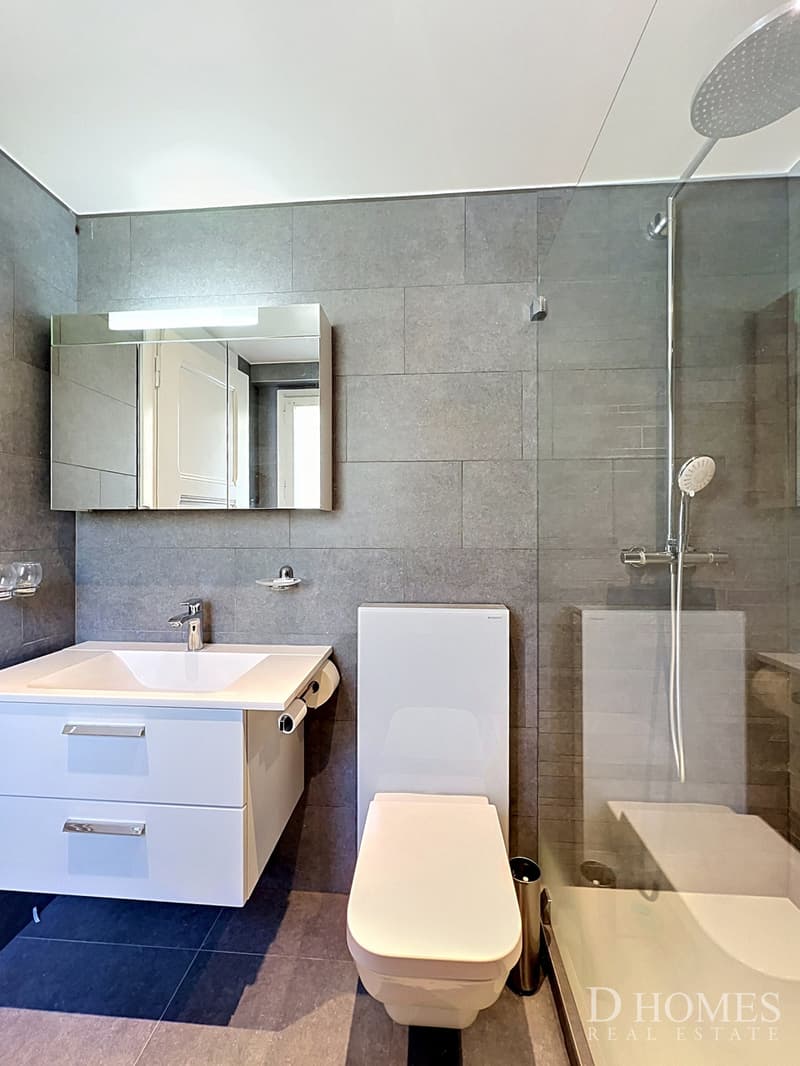 Exceptional property - Panoramic view of the lake and mountains (10)