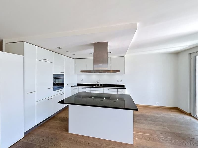 Lausanne Ouchy, magnifique appartement de 5,5 pces avec balcon (3)