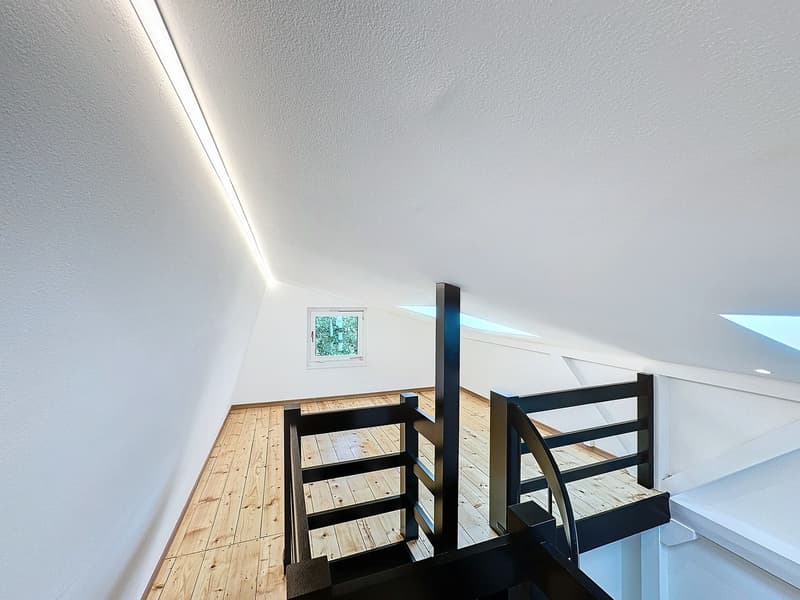 Situation unique - Magnifique villa rénovée avec jardin et vue lac (11)