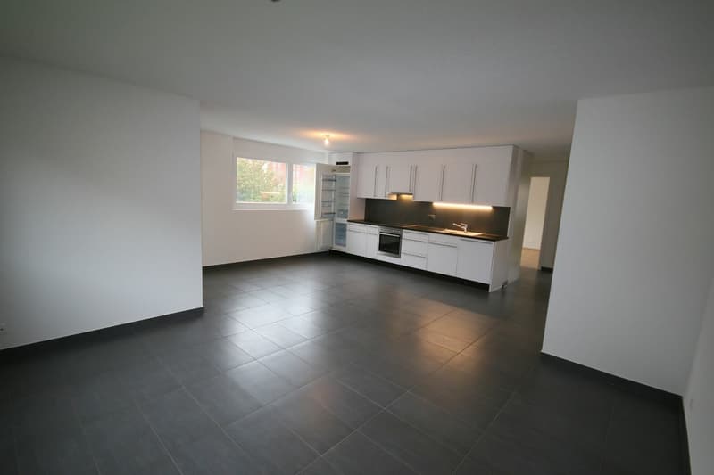 Appartement 3,5 pièces Moderne et Lumineux (3)