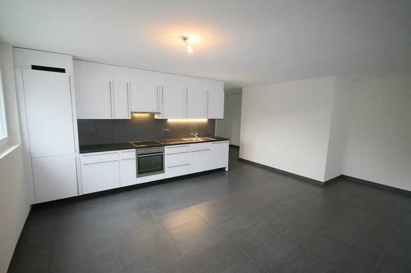 Appartement 3,5 pièces Moderne et Lumineux (1)