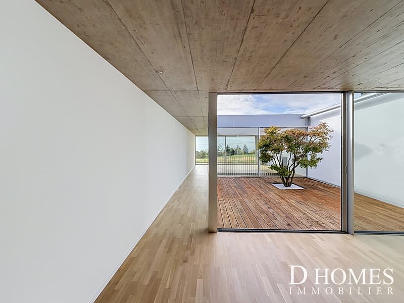 EN EXCLUSIVITÉ I Villa contemporaine en duplex avec vue sur le lac (2)