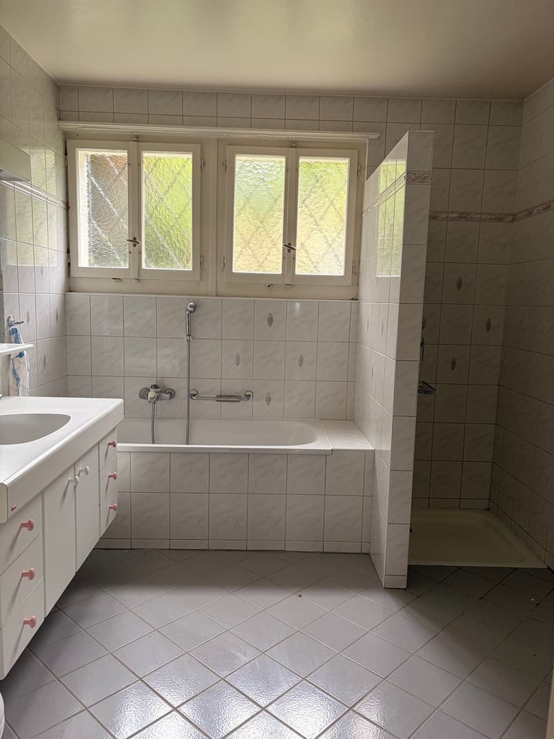 Charming villa with 2 apartments and large tree-lined garden (10)