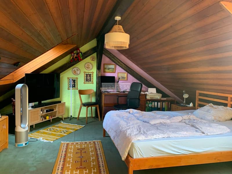 Rental building with 3 apartments, office, garage/hangar and garden (11)