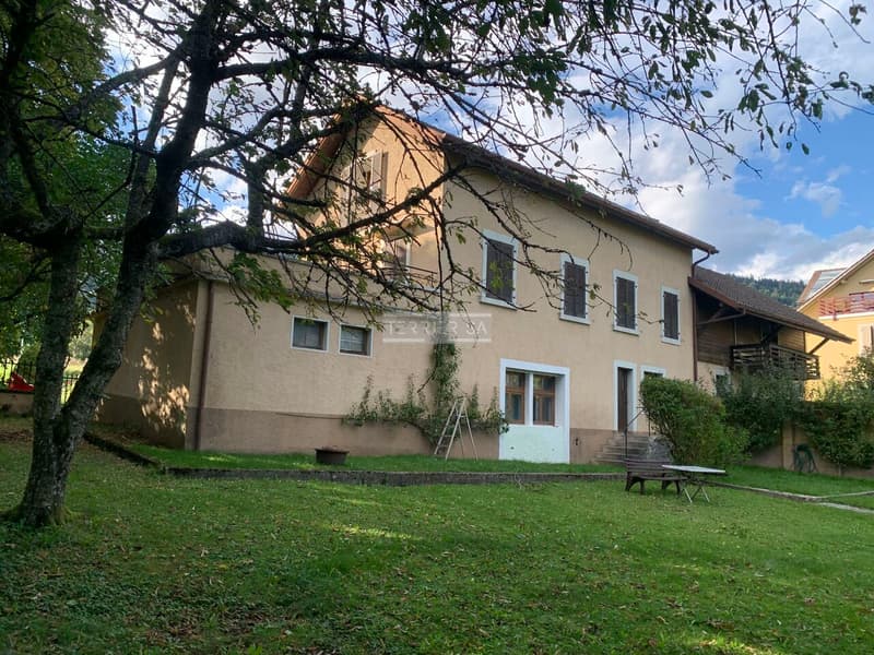 Rental building with 3 apartments, office, garage/hangar and garden (2)