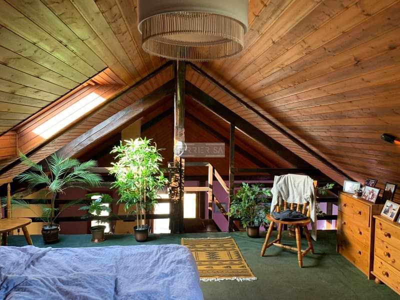 Rental building with 3 apartments, office, garage/hangar and garden (10)