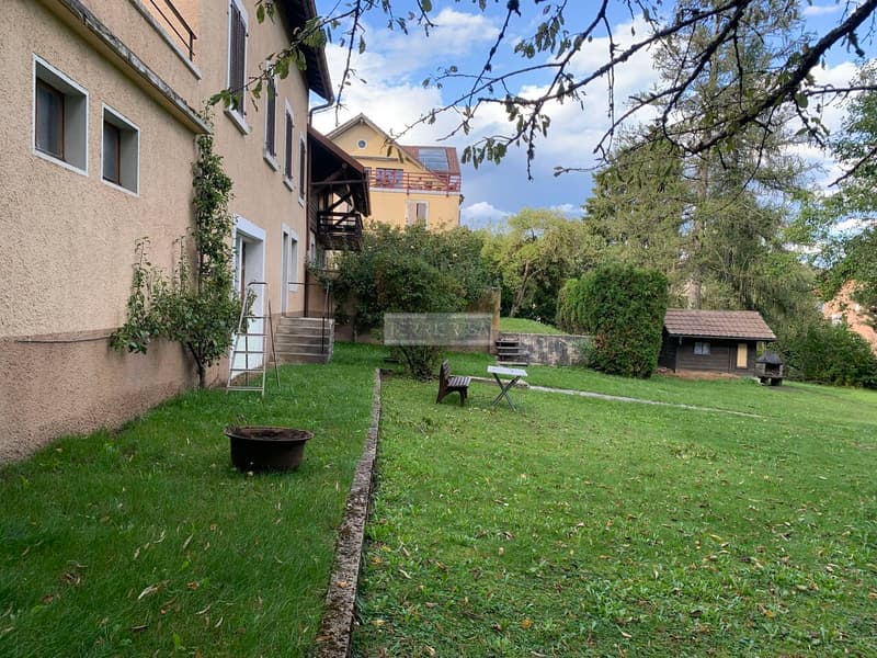Rental building with 3 apartments, office, garage/hangar and garden (3)