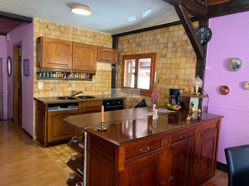Rental building with 3 apartments, office, garage/hangar and garden (8)