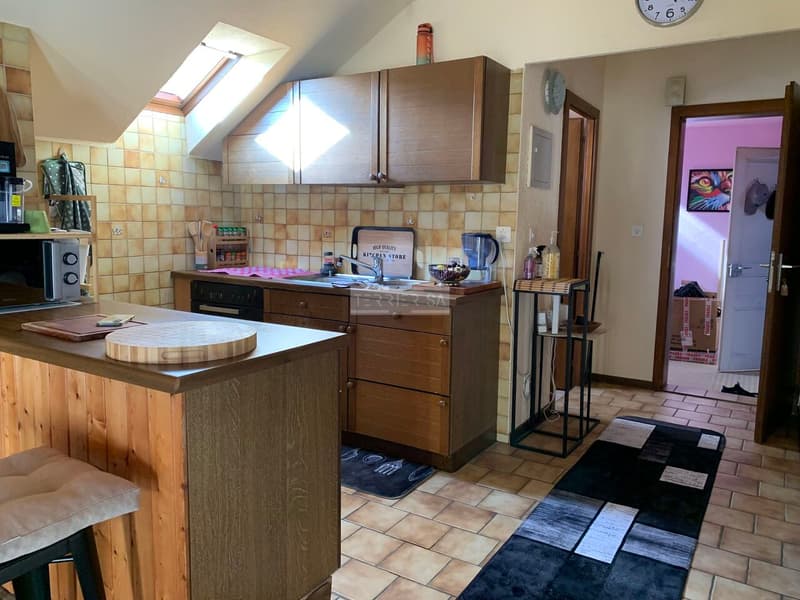 Rental building with 3 apartments, office, garage/hangar and garden (12)