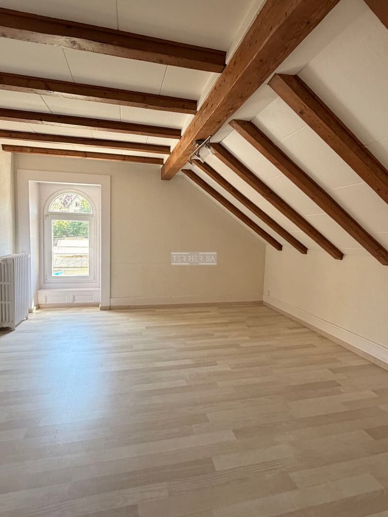 Charme et authenticité: ancienne villa Suchard avec jardin et garage (12)