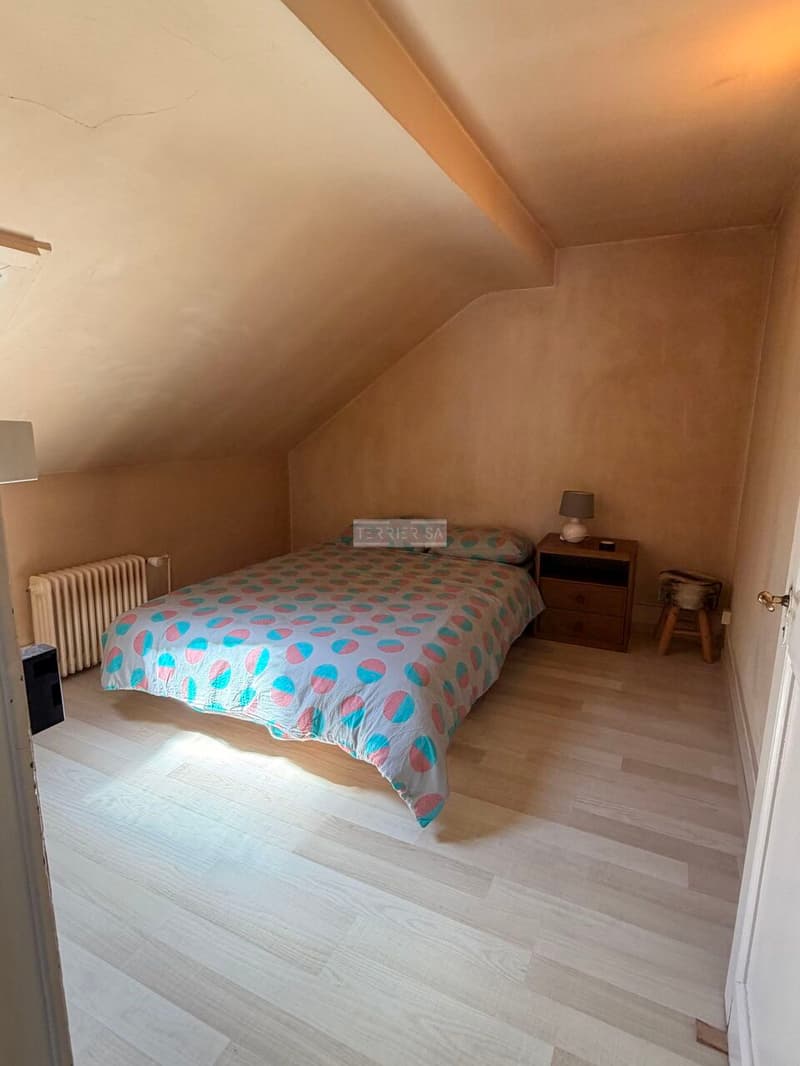 Charme et authenticité: ancienne villa Suchard avec jardin et garage (13)