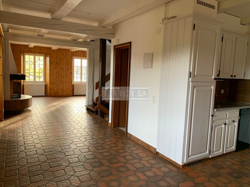 Duplex en PPE de 5 pièces avec entrée indépendante (4)