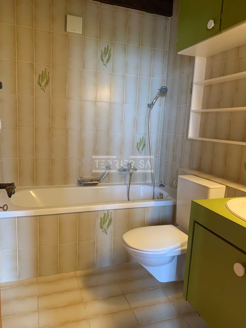 Duplex en PPE de 5 pièces avec entrée indépendante (9)