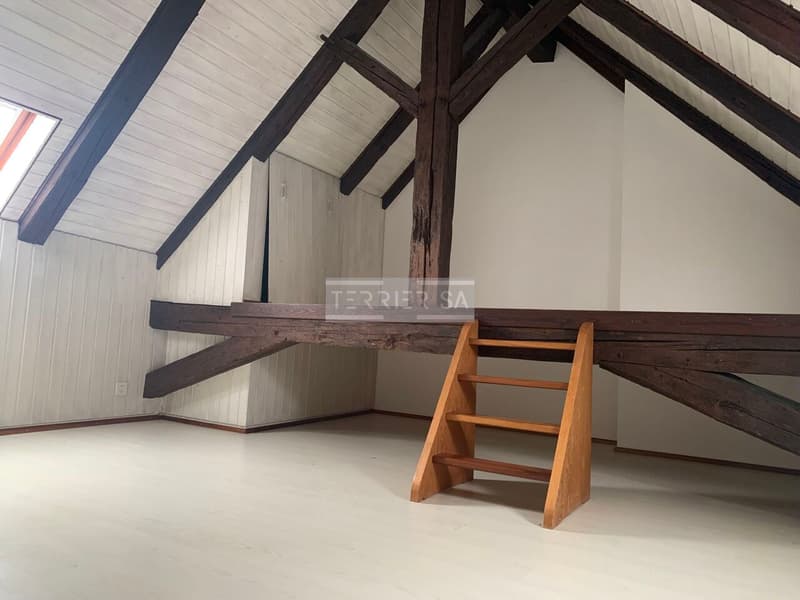 Duplex en PPE de 5 pièces avec entrée indépendante (11)