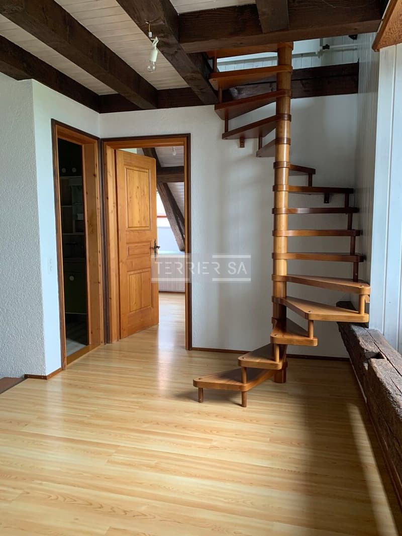 Duplex en PPE de 5 pièces avec entrée indépendante (10)