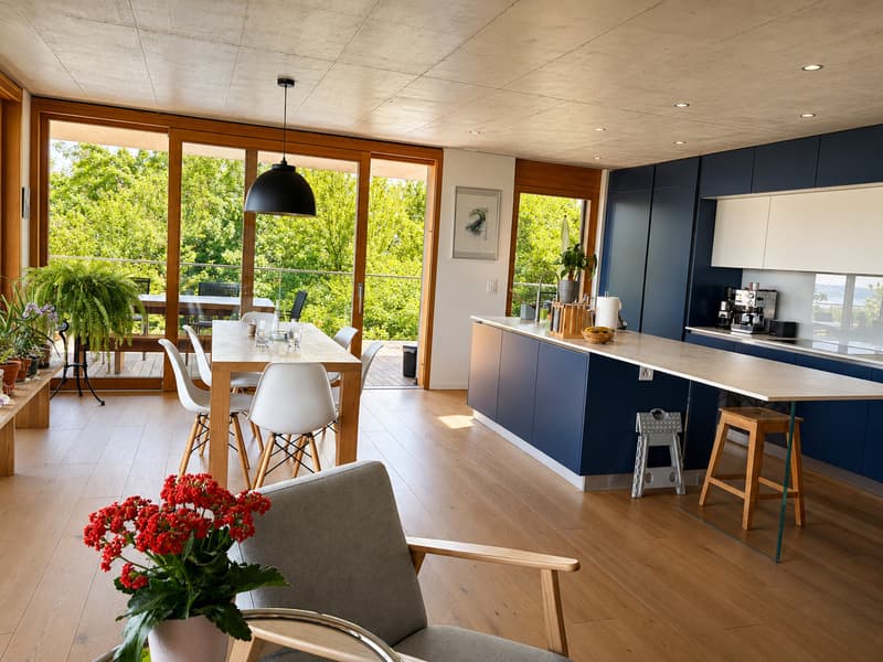 Attique de standing de 6,5 pièces avec grande terrasse (5)