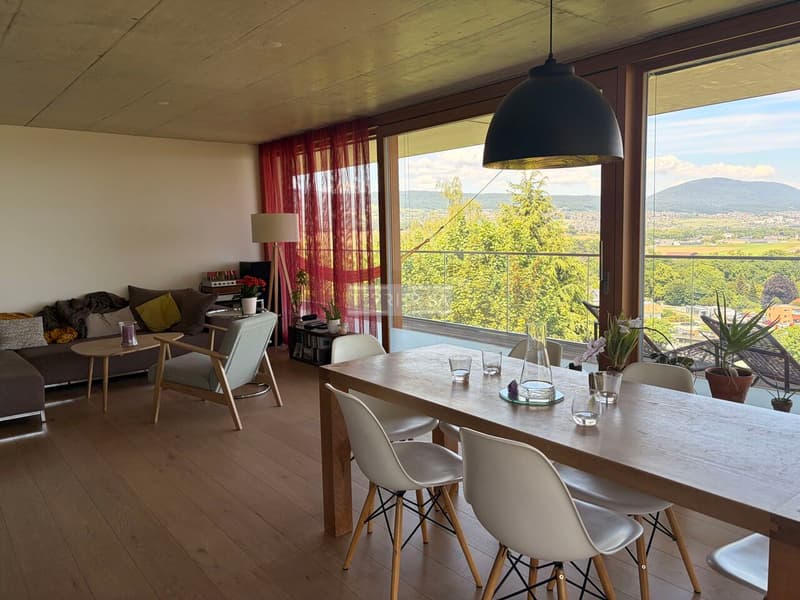 Attique de standing de 6,5 pièces avec grande terrasse (4)