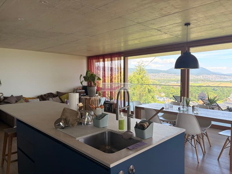 Attique de standing de 6,5 pièces avec grande terrasse (3)