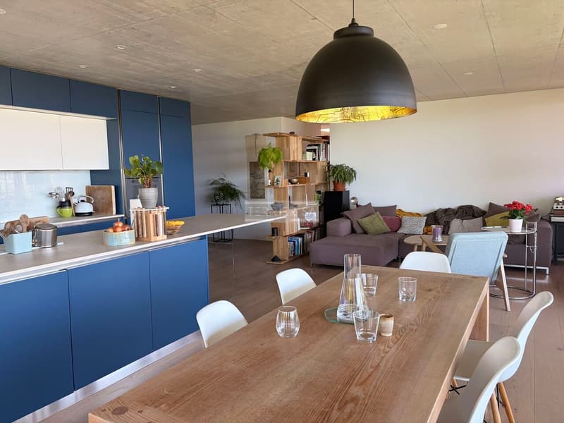 Attique de standing de 6,5 pièces avec grande terrasse (2)
