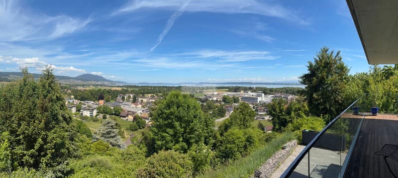Attique de standing de 6,5 pièces avec grande terrasse (11)