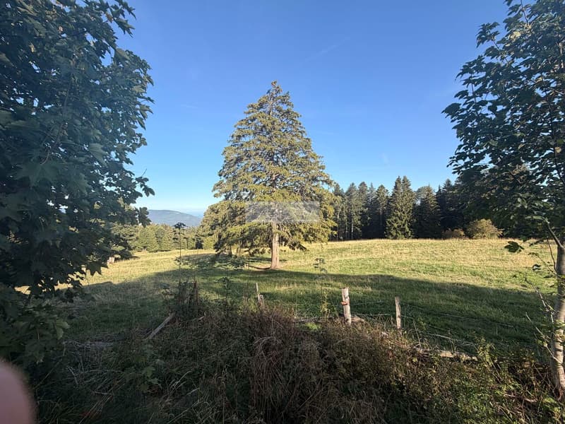 A rénover - Loge avec dégagement de 750 m2 (6)