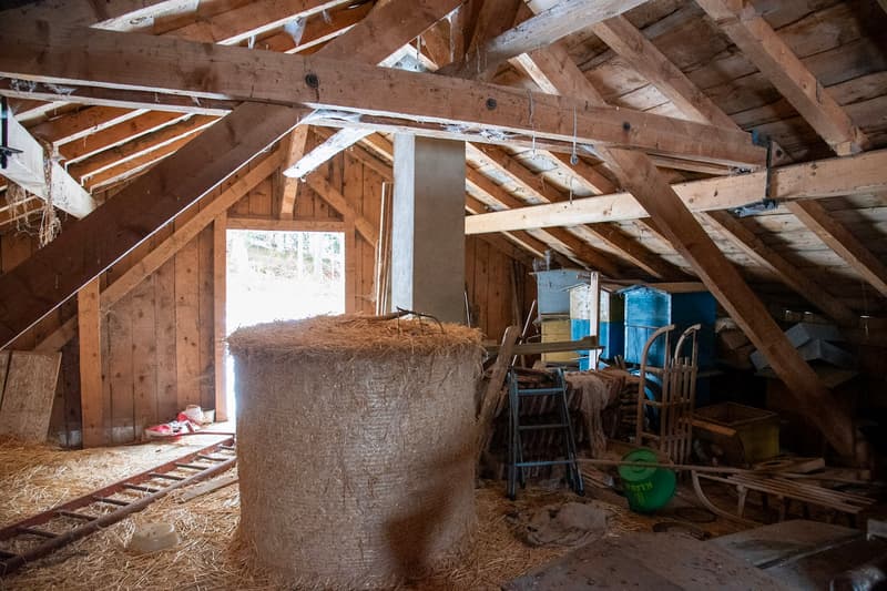 A rénover - Loge avec dégagement de 750 m2 (10)