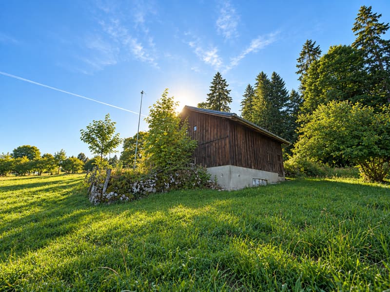 A rénover - Loge avec dégagement de 750 m2 (4)