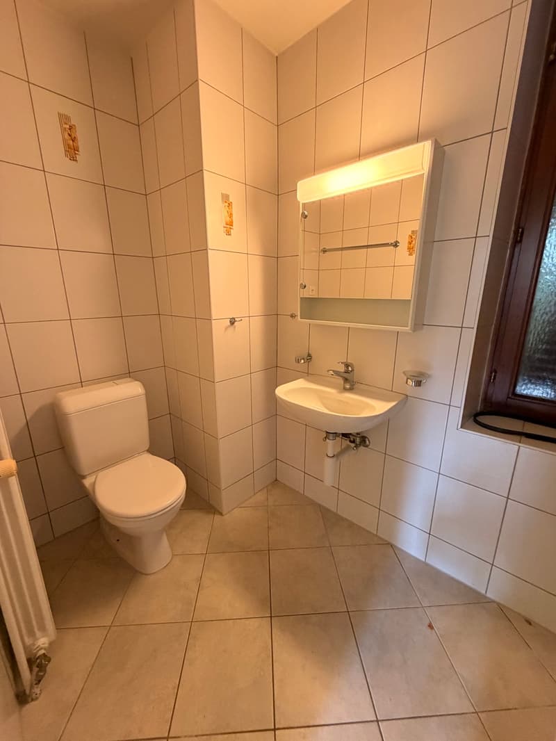 Appartement de 3,5 pièces avec grande terrasse (7)