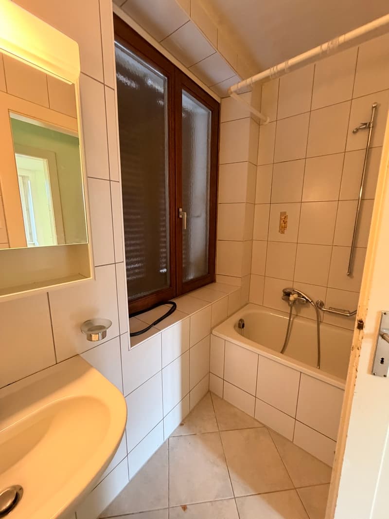 Appartement de 3,5 pièces avec grande terrasse (8)