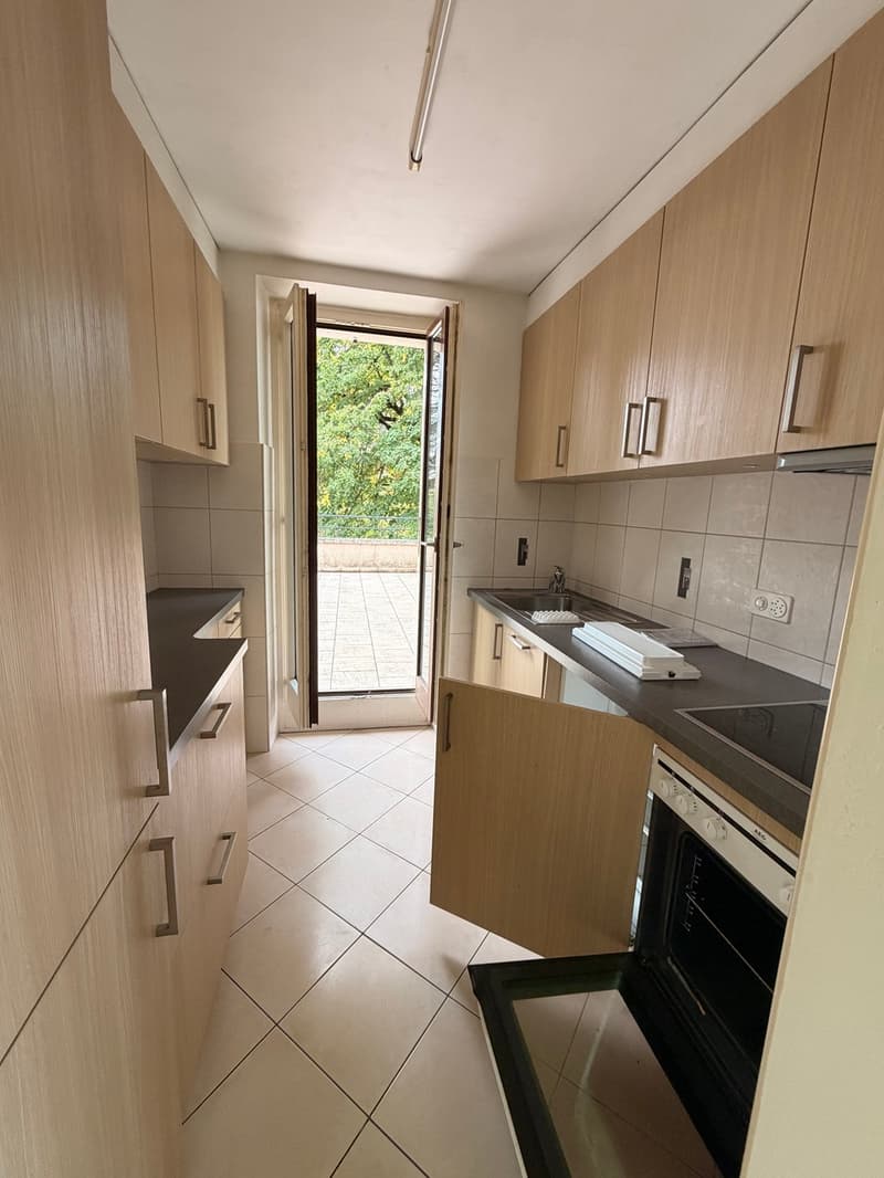 Appartement de 3,5 pièces avec grande terrasse (6)