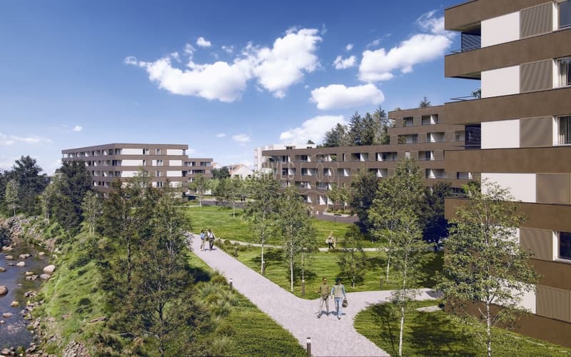 Implantare la tua attività a Châtel-St-Denis in un settore strategico (2)