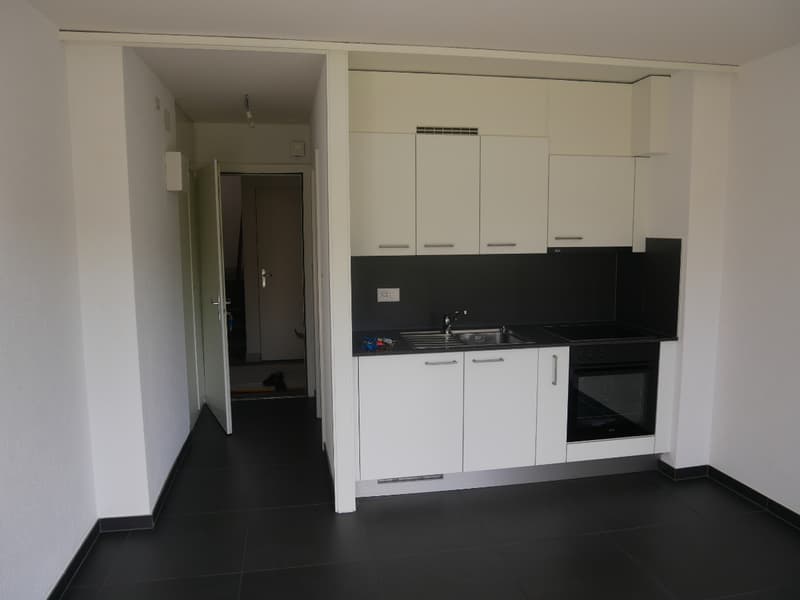 Studio au rez à Villars-sur-Glâne (2)