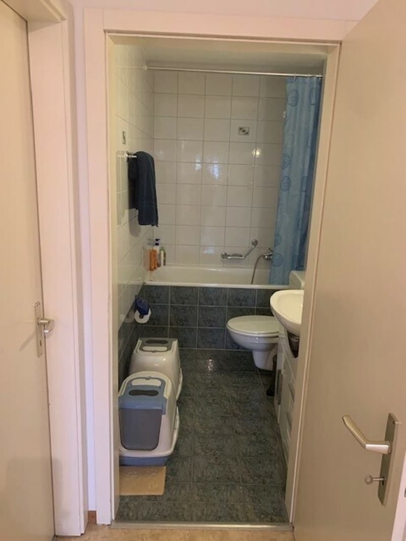 Beau duplex de 3.5 pièces au centre de Corminboeuf (4)