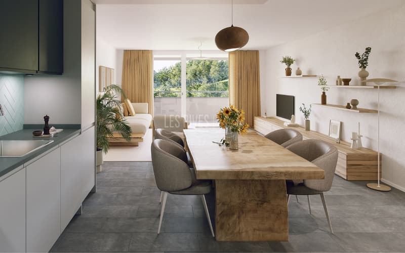 3.5 room apartment on the top floor - Bright and new (3)
