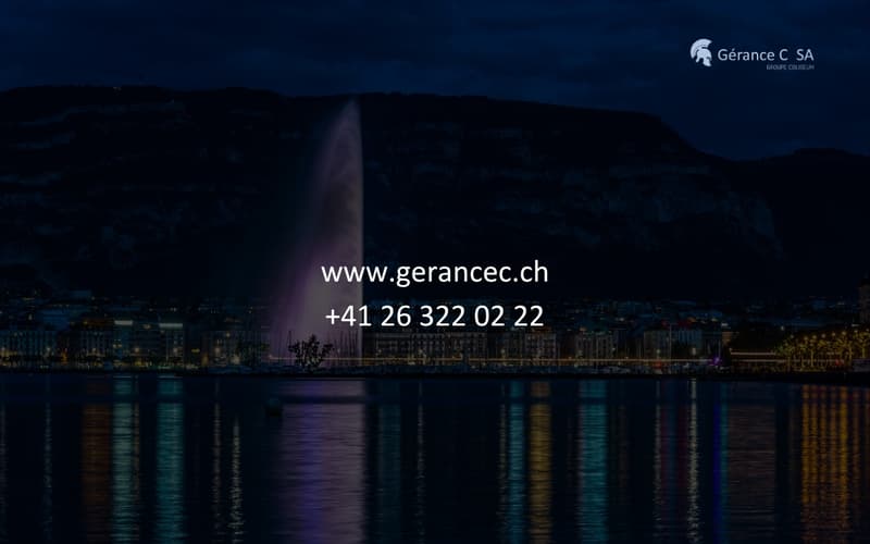 Appartement neuf de 4 pièces à quelques pas de la gare de Genève (10)