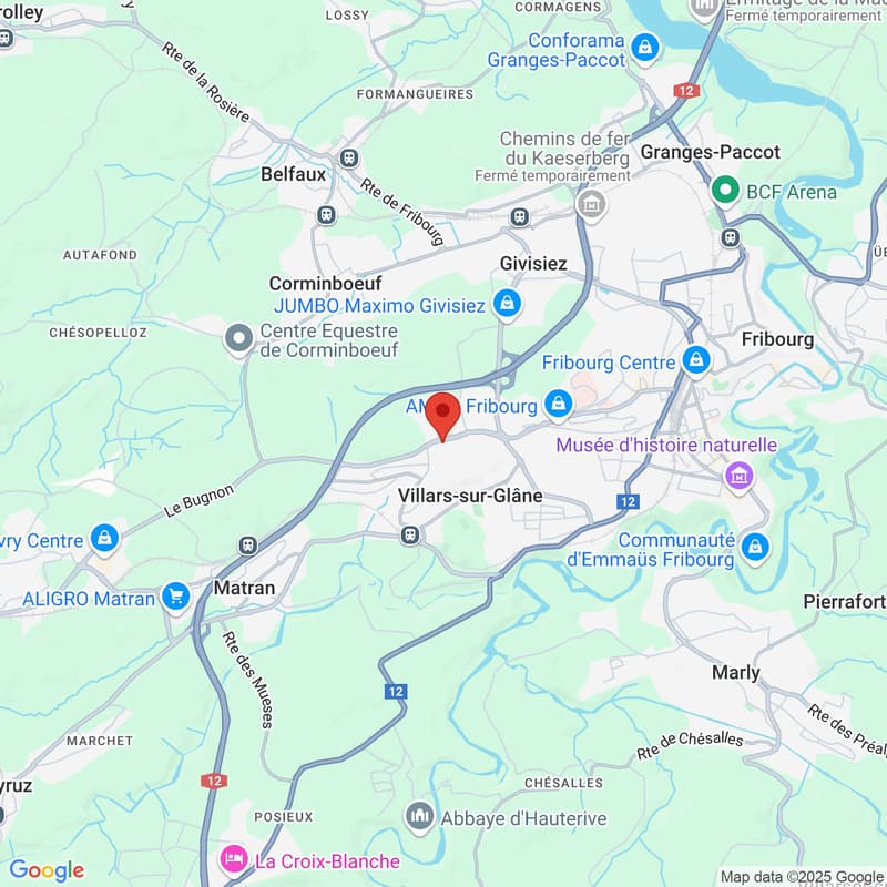 Lumineux Studio rénové en 2024 à Villars-sur-Glâne (5)