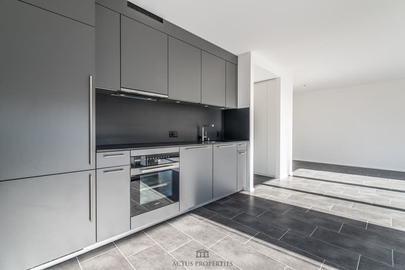 Magnifique 3.5 pièces avec terrasse de 15.8 m2 et jardin privatif (2)