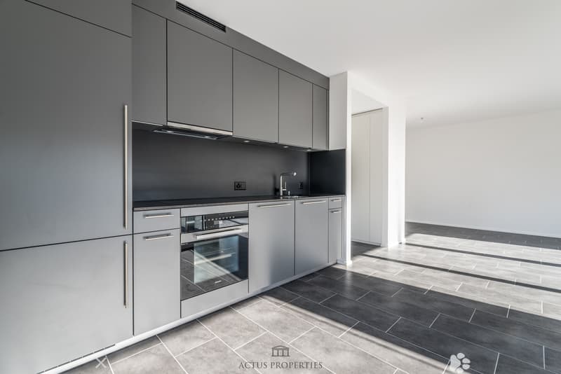 Magnifique 3.5 pièces avec terrasse de 15.8 m2 et jardin privatif (2)